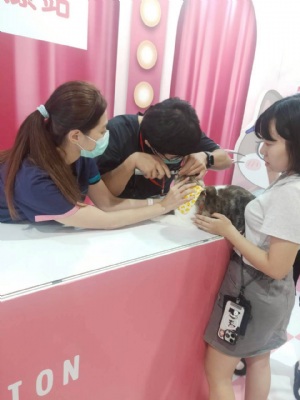 韓國(guó)喵美所